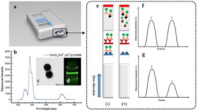 Up-Converting Nanoparticle-Based Immunochromatographic Strip for Multi-Residue Detection of Three Organophosphorus Pesticides in Food